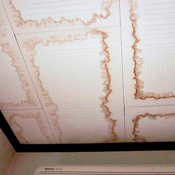 伊藤瓦店：天井のシミ